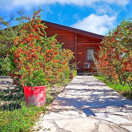 Hayitbuku Ahsapevleri