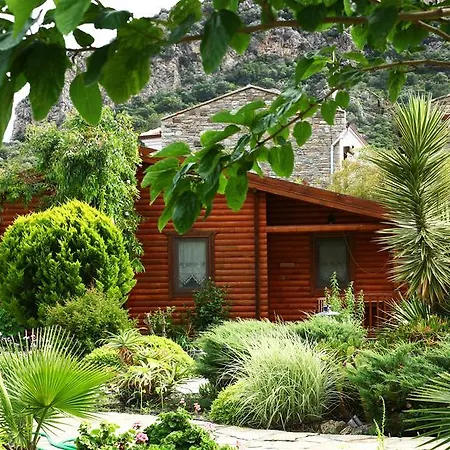 Hayitbuku Ahsapevleri