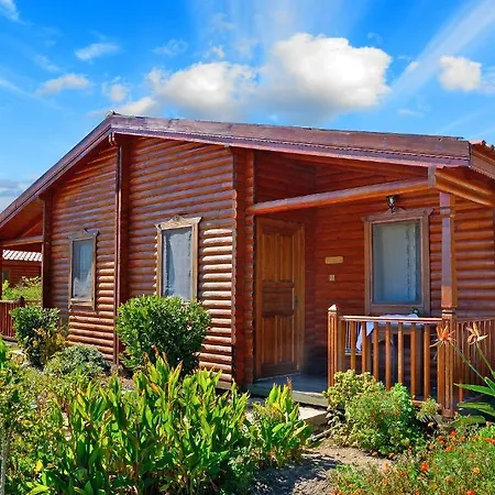 Hayitbuku Ahsapevleri *