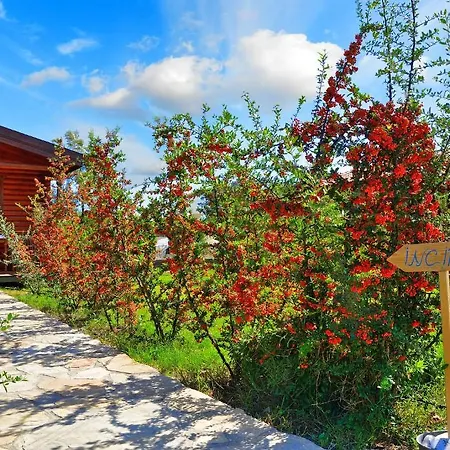 Affittacamere Hayitbuku Ahsapevleri