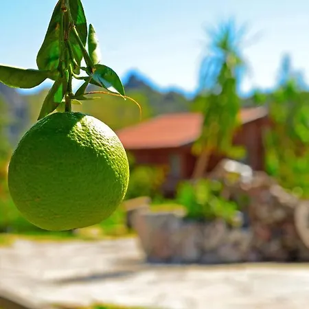 Hayitbuku Ahsapevleri Casa de hóspedes