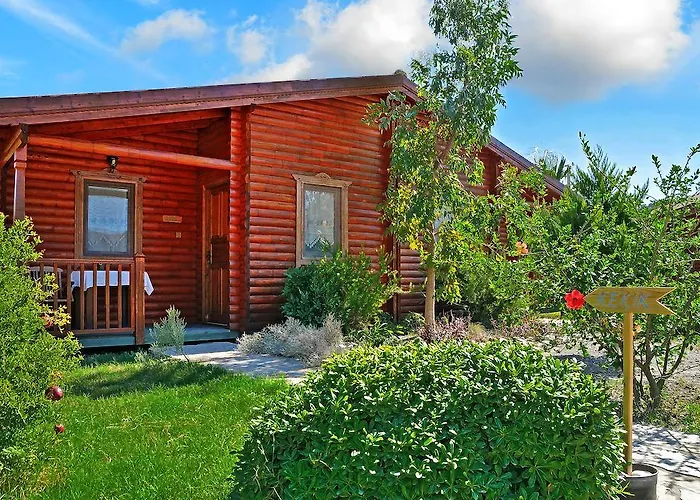 Hayitbuku Ahsapevleri *