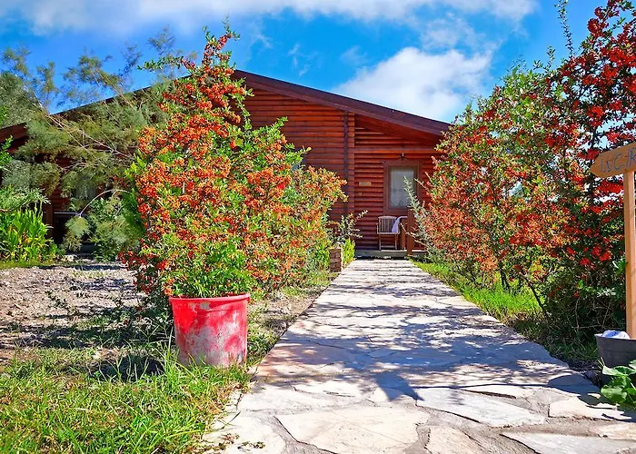 Hayitbuku Ahsapevleri