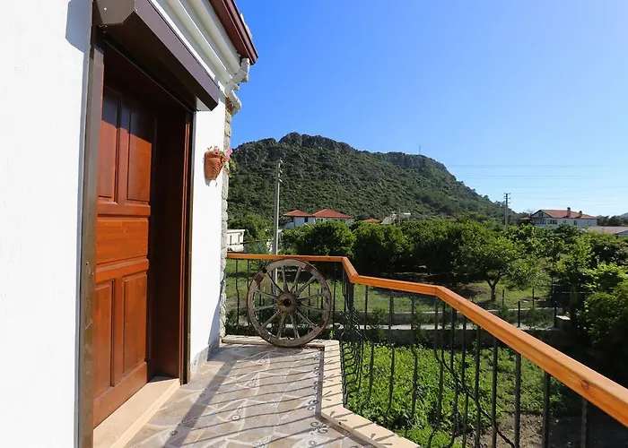 Hayitbuku Ahsapevleri Casa de hóspedes *