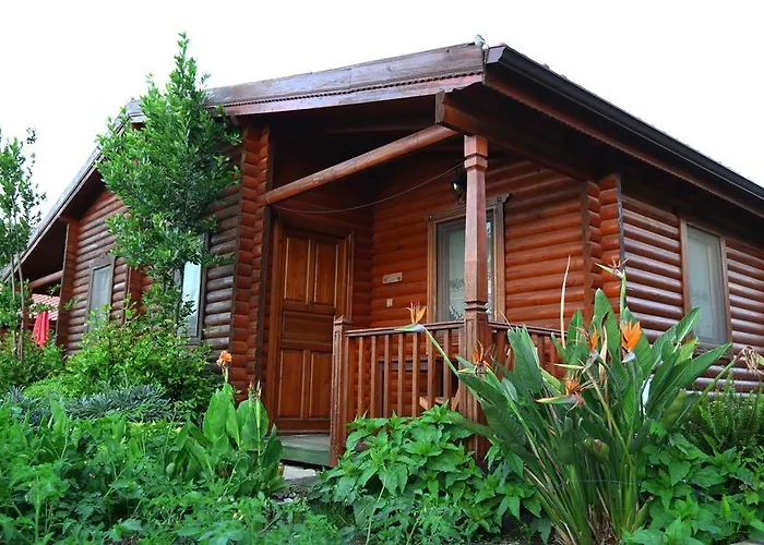 Hayitbuku Ahsapevleri *