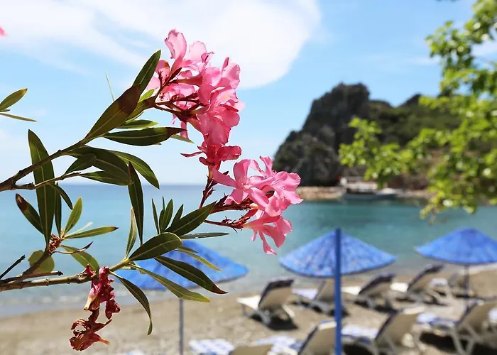 Hayitbuku Ahsapevleri Pensjonat Mesudiye (Datca)