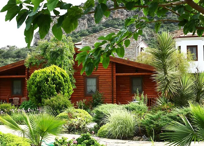 Hayitbuku Ahsapevleri