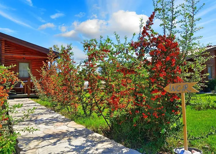 Casa de hóspedes Hayitbuku Ahsapevleri