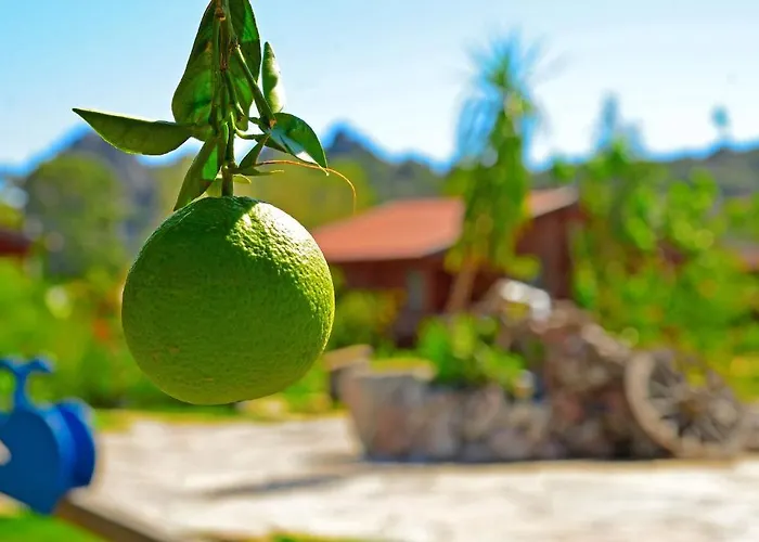 Hayitbuku Ahsapevleri Casa de hóspedes