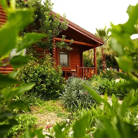 Guest house Hayitbuku Ahsapevleri