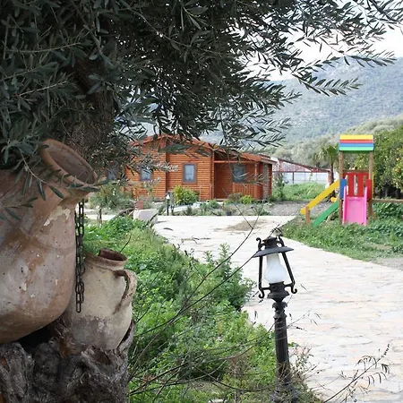 Hayitbuku Ahsapevleri *