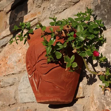 Gasthuis Hayitbuku Ahsapevleri