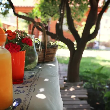 Hayitbuku Ahsapevleri Gasthuis