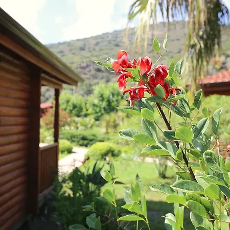 Casa de hóspedes Hayitbuku Ahsapevleri Mesudiye (Datca)