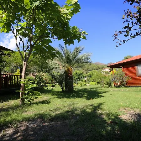 Hayitbuku Ahsapevleri * Mesudiye (Datca)