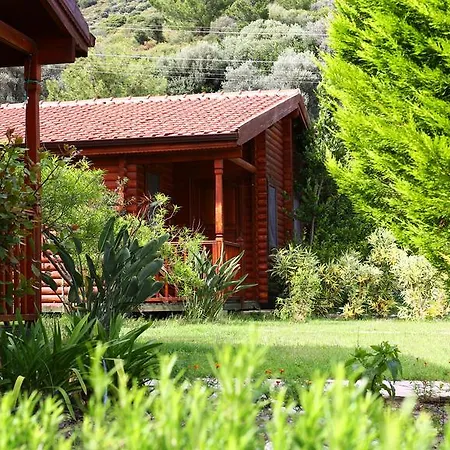 Hayitbuku Ahsapevleri Guest house *