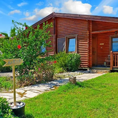 Hayitbuku Ahsapevleri * Mesudiye (Datca)