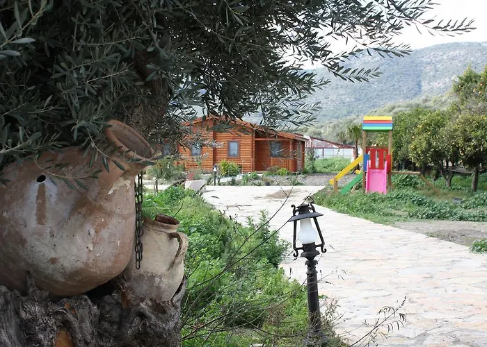 Hayitbuku Ahsapevleri *