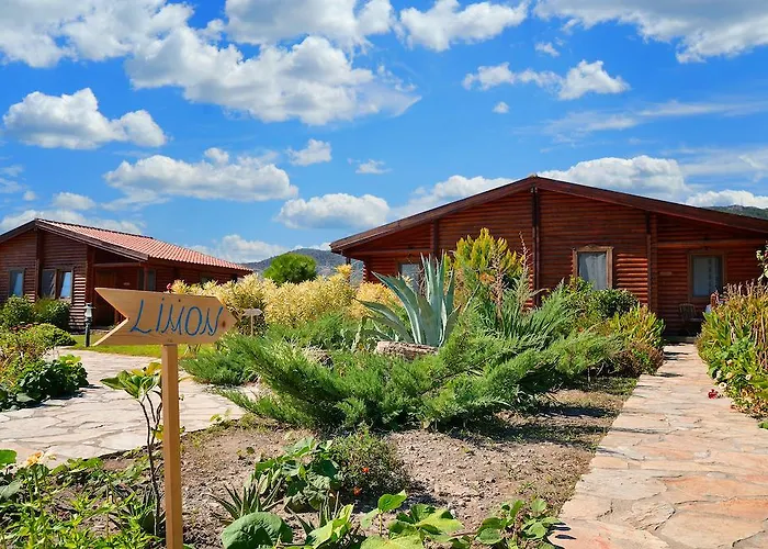 Konukevi Hayitbuku Ahsapevleri *