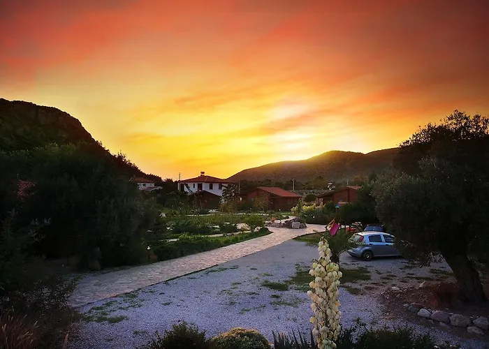 Hayitbuku Ahsapevleri *