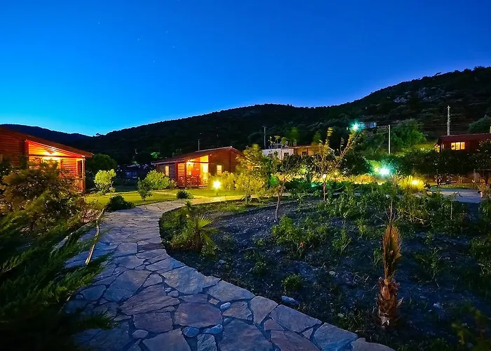 Hayitbuku Ahsapevleri