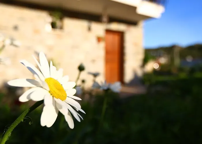 Hayitbuku Ahsapevleri Casa de hóspedes *