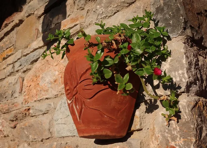 Konukevi Hayitbuku Ahsapevleri