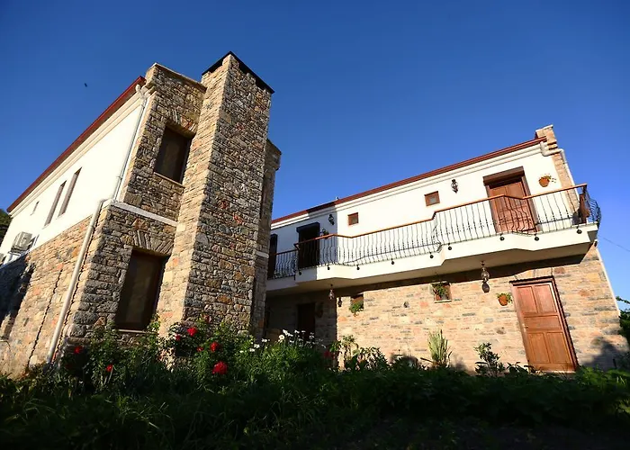 Hayitbuku Ahsapevleri *