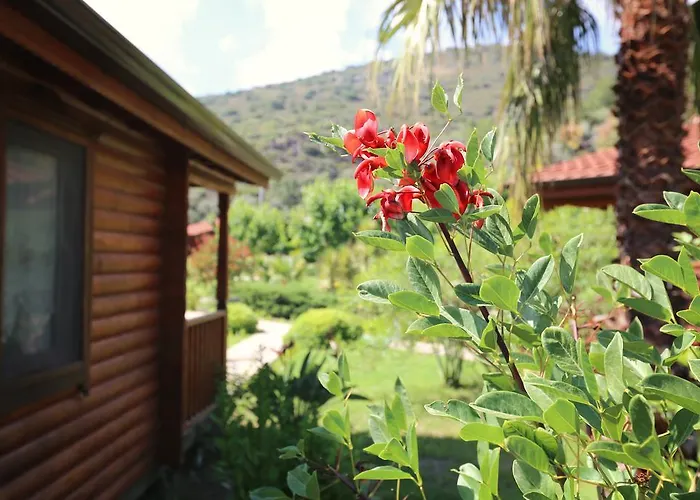 Casa de hóspedes Hayitbuku Ahsapevleri Mesudiye (Datca)