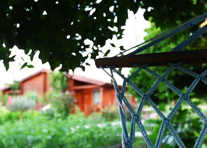 Hayitbuku Ahsapevleri