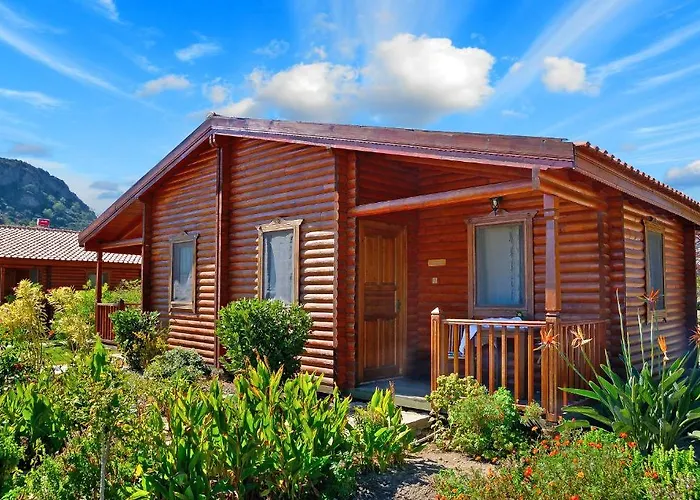 Hayitbuku Ahsapevleri *