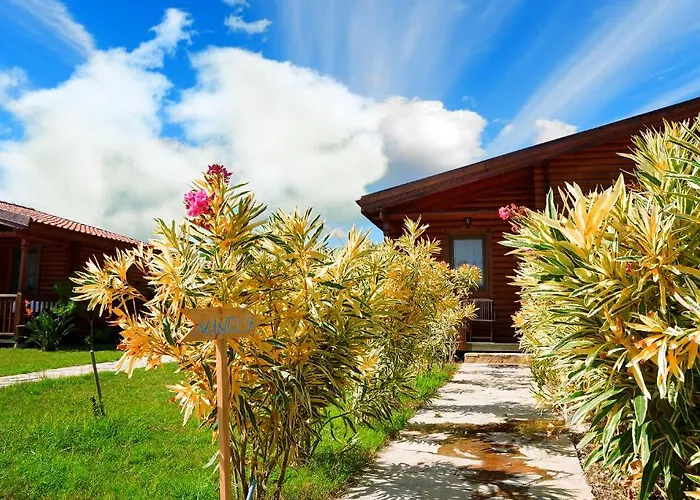 Hayitbuku Ahsapevleri Konukevi *